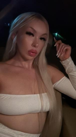 23 year old Blonde Escort in Sherman Oaks CA #VRAAhq0X